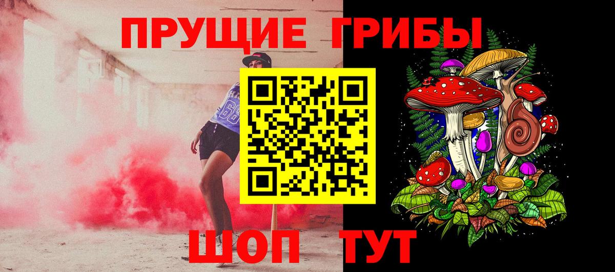 Псилоцибиновые грибы Psilocybe  Вход с VPN  что такое наркотик  Трёхгорный 